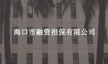 ?？谑腥谫Y擔保有限公司